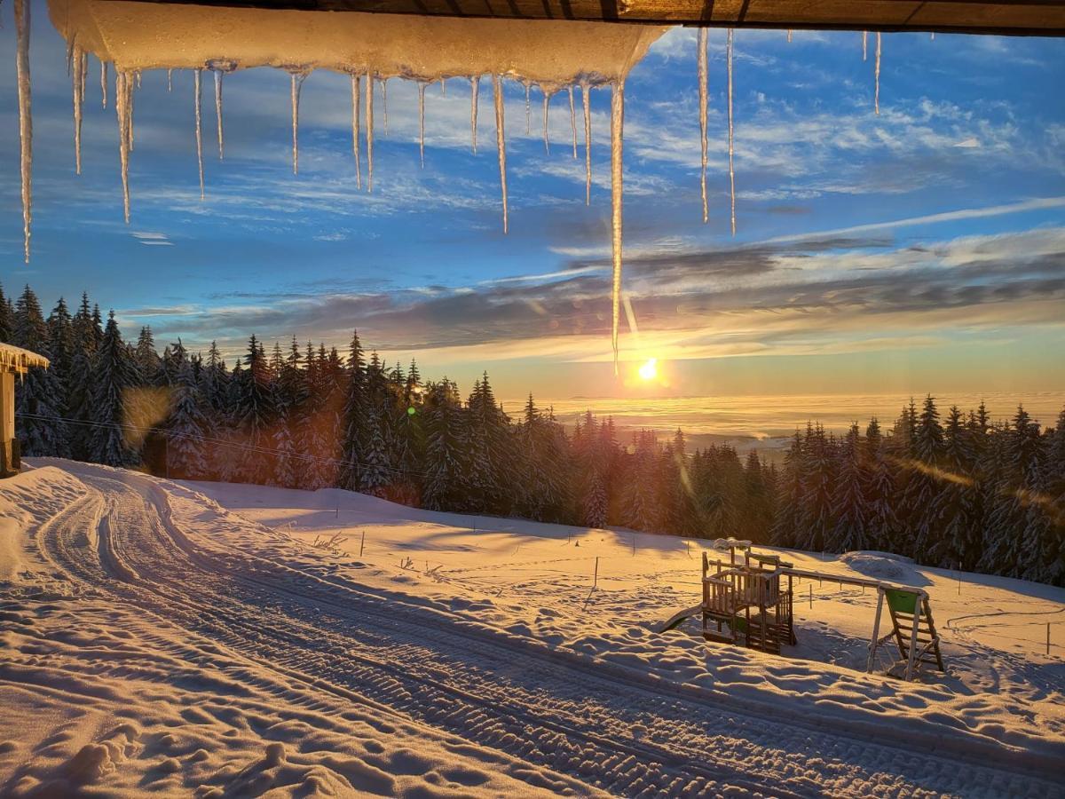 Pardubicke Boudy Villa Janske Lazne Bagian luar foto
